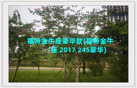 福特金牛座豪华款(福特金牛座 2017 245豪华)